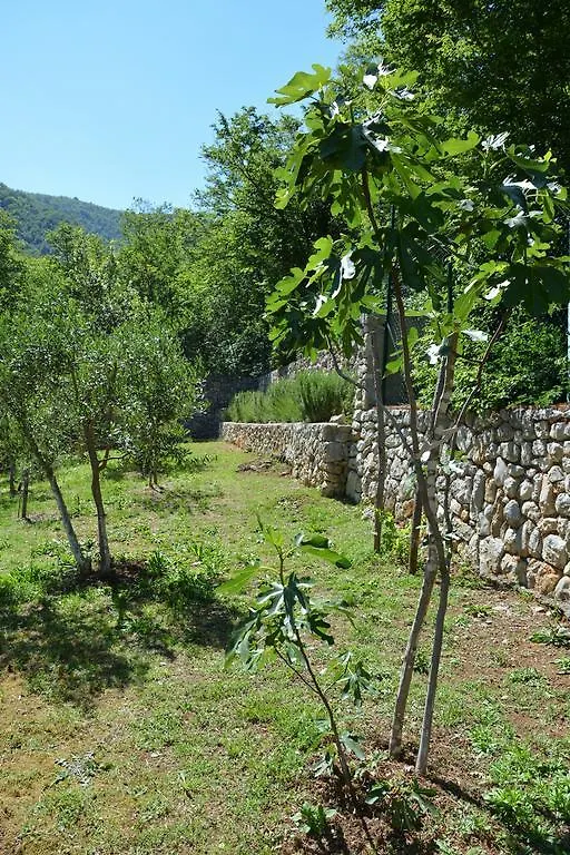 Apartman Osha Medveja Κροατία